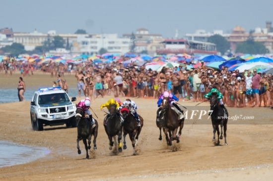 HORSE - SANLUCAR BARRAMEDA HORSE BEACH RACING